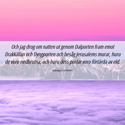 Picture 06 - Nehemja 2:13 SV1917 - Och jag drog om natten ut genom Dalporten fram - Bible Verse Picture
