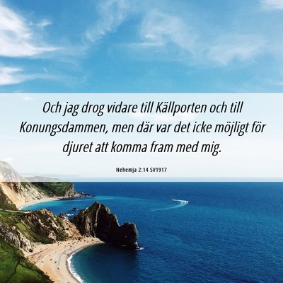 Picture 06 - Nehemja 2:14 SV1917 - Och jag drog vidare till Källporten och till - Bible Verse Picture