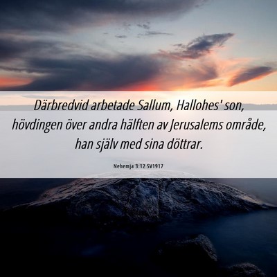 Picture 06 - Nehemja 3:12 SV1917 - Därbredvid arbetade Sallum, Hallohes' son, - Bible Verse Picture