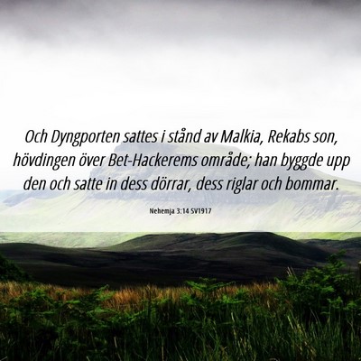 Picture 06 - Nehemja 3:14 SV1917 - Och Dyngporten sattes i stånd av Malkia, Rekabs - Bible Verse Picture