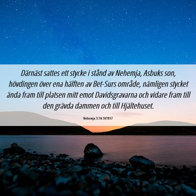 Picture 06 - Nehemja 3:16 SV1917 - Därnäst sattes ett stycke i stånd av Nehemja, - Bible Verse Picture
