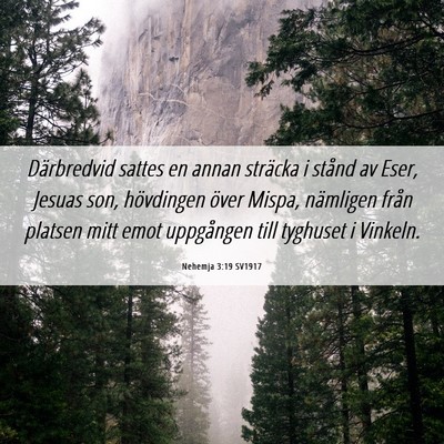 Picture 06 - Nehemja 3:19 SV1917 - Därbredvid sattes en annan sträcka i stånd av - Bible Verse Picture