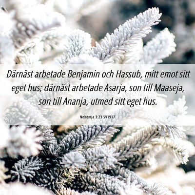 Picture 06 - Nehemja 3:23 SV1917 - Därnäst arbetade Benjamin och Hassub, mitt emot - Bible Verse Picture