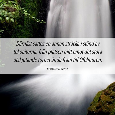 Picture 06 - Nehemja 3:27 SV1917 - Därnäst sattes en annan sträcka i stånd av - Bible Verse Picture