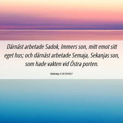 Picture 06 - Nehemja 3:29 SV1917 - Därnäst arbetade Sadok, Immers son, mitt emot - Bible Verse Picture