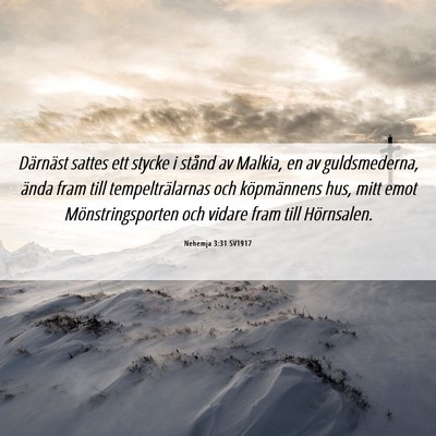 Picture 06 - Nehemja 3:31 SV1917 - Därnäst sattes ett stycke i stånd av Malkia, - Bible Verse Picture