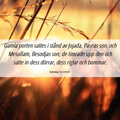 Picture 06 - Nehemja 3:6 SV1917 - Gamla porten sattes i stånd av Jojada, Paseas - Bible Verse Picture