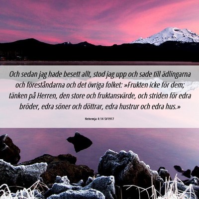 Picture 06 - Nehemja 4:14 SV1917 - Och sedan jag hade besett allt, stod jag upp och - Bible Verse Picture