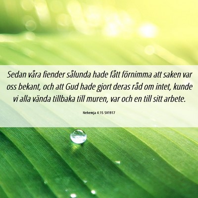 Picture 06 - Nehemja 4:15 SV1917 - Sedan våra fiender sålunda hade fått förnimma - Bible Verse Picture