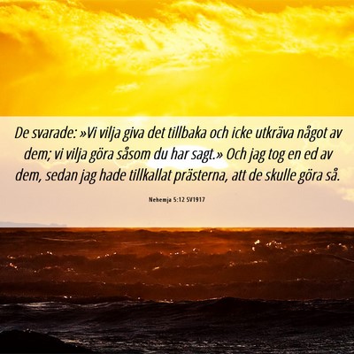 Picture 06 - Nehemja 5:12 SV1917 - De svarade: »Vi vilja giva det tillbaka och icke - Bible Verse Picture