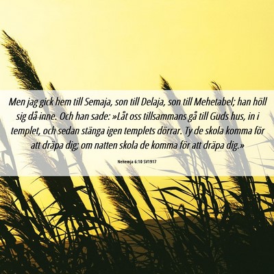 Picture 06 - Nehemja 6:10 SV1917 - Men jag gick hem till Semaja, son till Delaja, - Bible Verse Picture