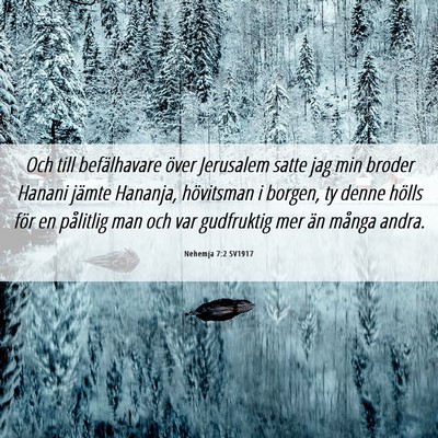 Picture 06 - Nehemja 7:2 SV1917 - Och till befälhavare över Jerusalem satte jag - Bible Verse Picture