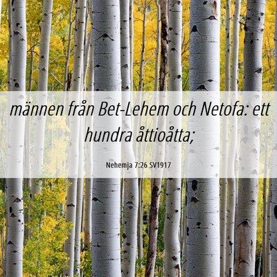 Picture 06 - Nehemja 7:26 SV1917 - männen från Bet-Lehem och Netofa: ett hundra - Bible Verse Picture