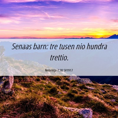 Picture 06 - Nehemja 7:38 SV1917 - Senaas barn: tre tusen nio hundra - Bible Verse Picture