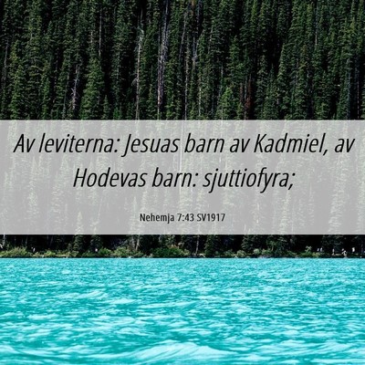Picture 06 - Nehemja 7:43 SV1917 - Av leviterna: Jesuas barn av Kadmiel, av Hodevas - Bible Verse Picture
