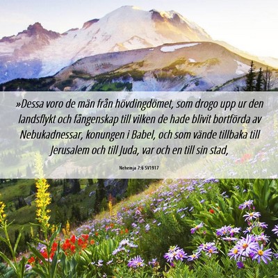 Picture 06 - Nehemja 7:6 SV1917 - »Dessa voro de män från hövdingdömet, som - Bible Verse Picture