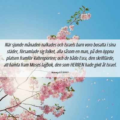 Picture 06 - Nehemja 8:1 SV1917 - När sjunde månaden nalkades och Israels barn - Bible Verse Picture