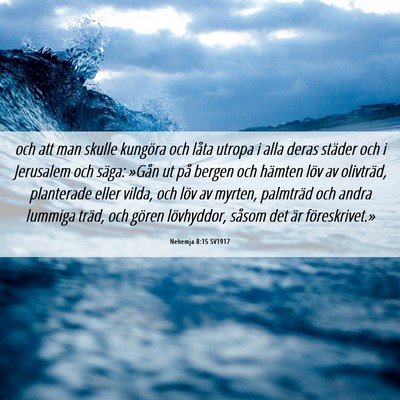 Picture 06 - Nehemja 8:15 SV1917 - och att man skulle kungöra och låta utropa i - Bible Verse Picture