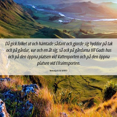 Picture 06 - Nehemja 8:16 SV1917 - Då gick folket ut och hämtade sådant och - Bible Verse Picture