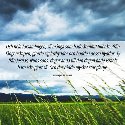 Picture 06 - Nehemja 8:17 SV1917 - Och hela församlingen, så många som hade - Bible Verse Picture