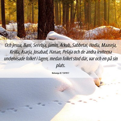 Picture 06 - Nehemja 8:7 SV1917 - Och Jesua, Bani, Serebja, Jamin, Ackub, Sabbetai, - Bible Verse Picture