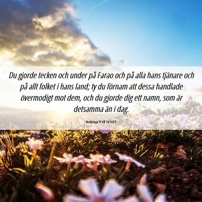 Picture 06 - Nehemja 9:10 SV1917 - Du gjorde tecken och under på Farao och på alla - Bible Verse Picture