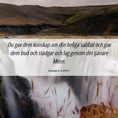 Picture 06 - Nehemja 9:14 SV1917 - Du gav dem kunskap om din heliga sabbat och gav - Bible Verse Picture
