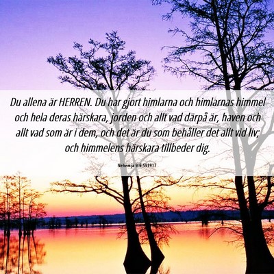 Picture 06 - Nehemja 9:6 SV1917 - Du allena är HERREN. Du har gjort himlarna och - Bible Verse Picture
