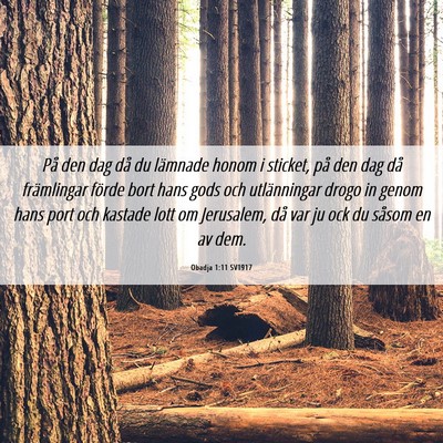 Picture 06 - Obadja 1:11 SV1917 - På den dag då du lämnade honom i sticket, på - Bible Verse Picture