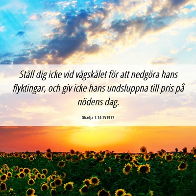 Picture 06 - Obadja 1:14 SV1917 - Ställ dig icke vid vägskälet för att nedgöra - Bible Verse Picture