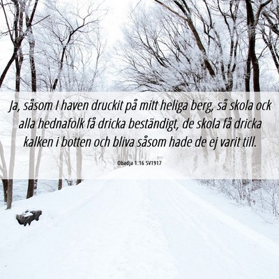 Picture 06 - Obadja 1:16 SV1917 - Ja, såsom I haven druckit på mitt heliga berg, - Bible Verse Picture