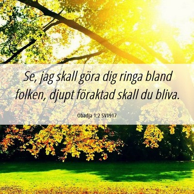Picture 06 - Obadja 1:2 SV1917 - Se, jag skall göra dig ringa bland folken, djupt - Bible Verse Picture
