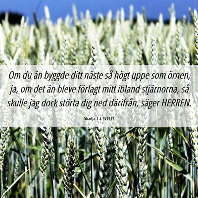 Picture 06 - Obadja 1:4 SV1917 - Om du än byggde ditt näste så högt uppe som - Bible Verse Picture