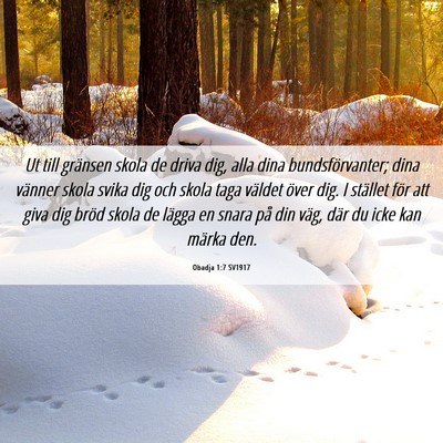 Picture 06 - Obadja 1:7 SV1917 - Ut till gränsen skola de driva dig, alla dina - Bible Verse Picture