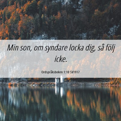 Picture 06 - Ordspråksboken 1:10 SV1917 - Min son, om syndare locka dig, så följ - Bible Verse Picture
