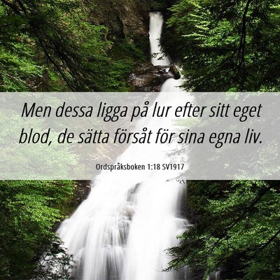 Picture 06 - Ordspråksboken 1:18 SV1917 - Men dessa ligga på lur efter sitt eget blod, de - Bible Verse Picture