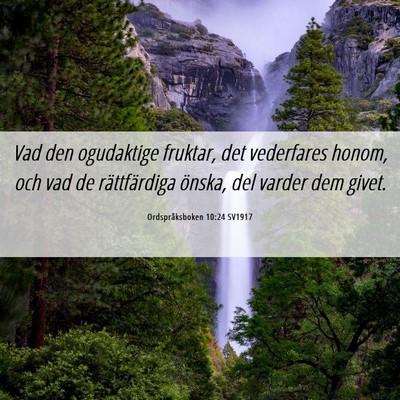 Picture 06 - Ordspråksboken 10:24 SV1917 - Vad den ogudaktige fruktar, det vederfares honom, - Bible Verse Picture