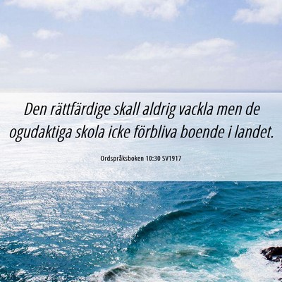 Picture 06 - Ordspråksboken 10:30 SV1917 - Den rättfärdige skall aldrig vackla men de - Bible Verse Picture