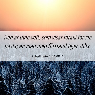 Picture 06 - Ordspråksboken 11:12 SV1917 - Den är utan vett, som visar förakt för sin - Bible Verse Picture