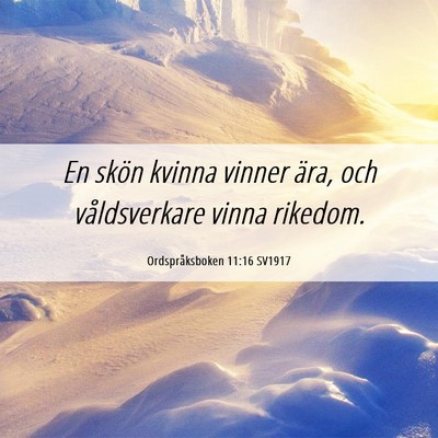 Picture 06 - Ordspråksboken 11:16 SV1917 - En skön kvinna vinner ära, och våldsverkare - Bible Verse Picture