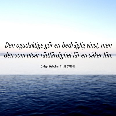 Picture 06 - Ordspråksboken 11:18 SV1917 - Den ogudaktige gör en bedräglig vinst, men den - Bible Verse Picture