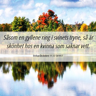 Picture 06 - Ordspråksboken 11:22 SV1917 - Såsom en gyllene ring i svinets tryne, så är - Bible Verse Picture