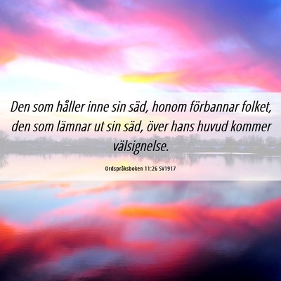 Picture 06 - Ordspråksboken 11:26 SV1917 - Den som håller inne sin säd, honom förbannar - Bible Verse Picture