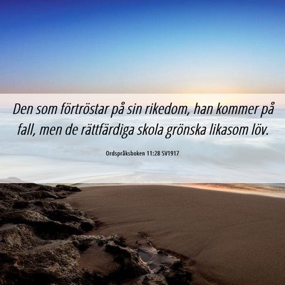 Picture 06 - Ordspråksboken 11:28 SV1917 - Den som förtröstar på sin rikedom, han kommer - Bible Verse Picture
