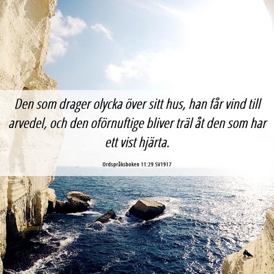 Picture 06 - Ordspråksboken 11:29 SV1917 - Den som drager olycka över sitt hus, han får - Bible Verse Picture
