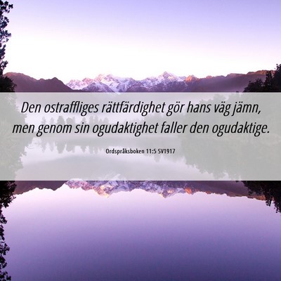Picture 06 - Ordspråksboken 11:5 SV1917 - Den ostraffliges rättfärdighet gör hans väg - Bible Verse Picture