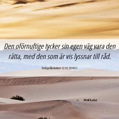 Picture 06 - Ordspråksboken 12:15 SV1917 - Den oförnuftige tycker sin egen väg vara den - Bible Verse Picture