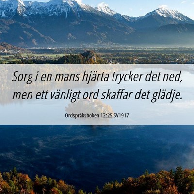 Picture 06 - Ordspråksboken 12:25 SV1917 - Sorg i en mans hjärta trycker det ned, men ett - Bible Verse Picture