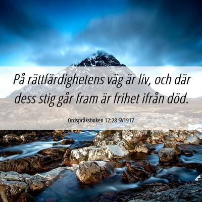 Picture 06 - Ordspråksboken 12:28 SV1917 - På rättfärdighetens väg är liv, och där - Bible Verse Picture