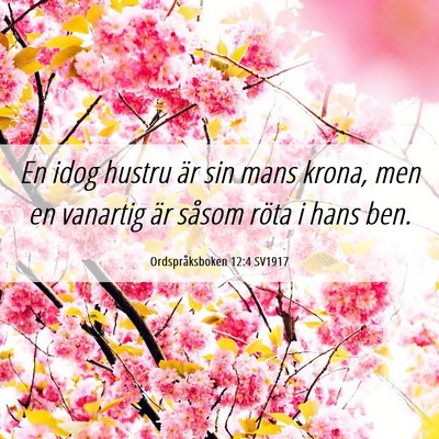 Picture 06 - Ordspråksboken 12:4 SV1917 - En idog hustru är sin mans krona, men en - Bible Verse Picture
